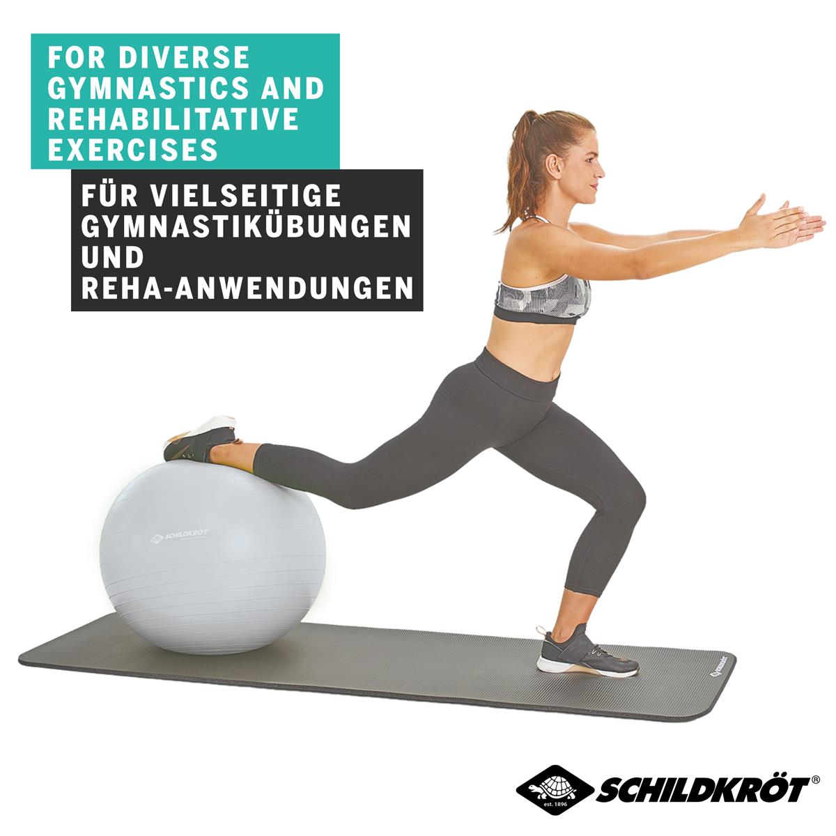 Schildkröt Gymnastikball 65 cm, phthalatfrei, mit Ballpumpe, silber