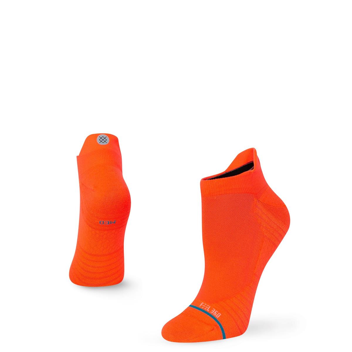 Bild 1 Zone neoncoral