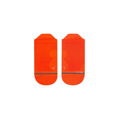 Bild 1 Zone neoncoral