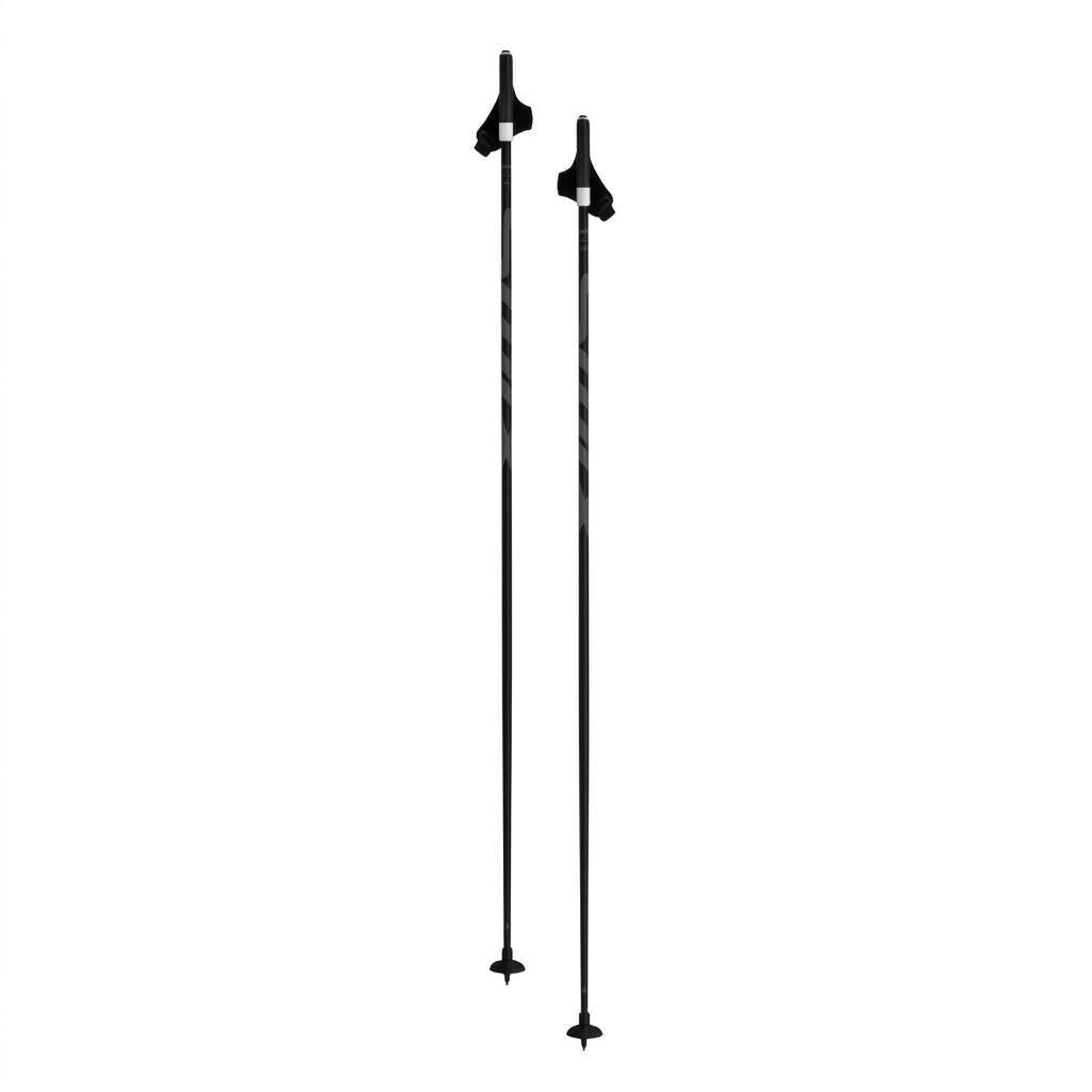 Swix Q Pole black