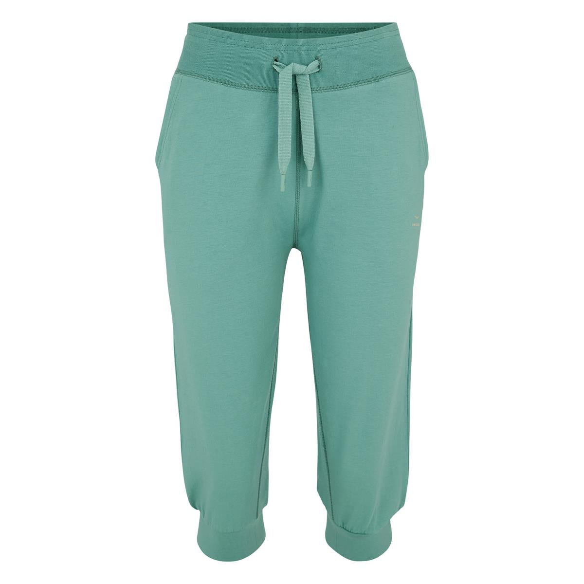 VENICE BEACH JANETTE Sweatshirt - eucalyptus