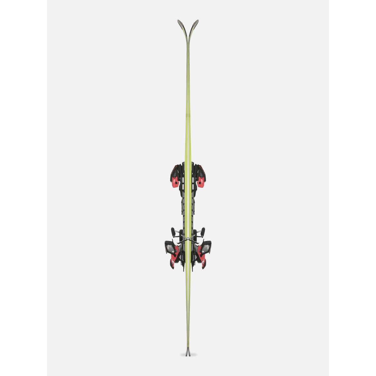 Voelkl Racetiger SL Master + Comp 12 GW 2025 2026