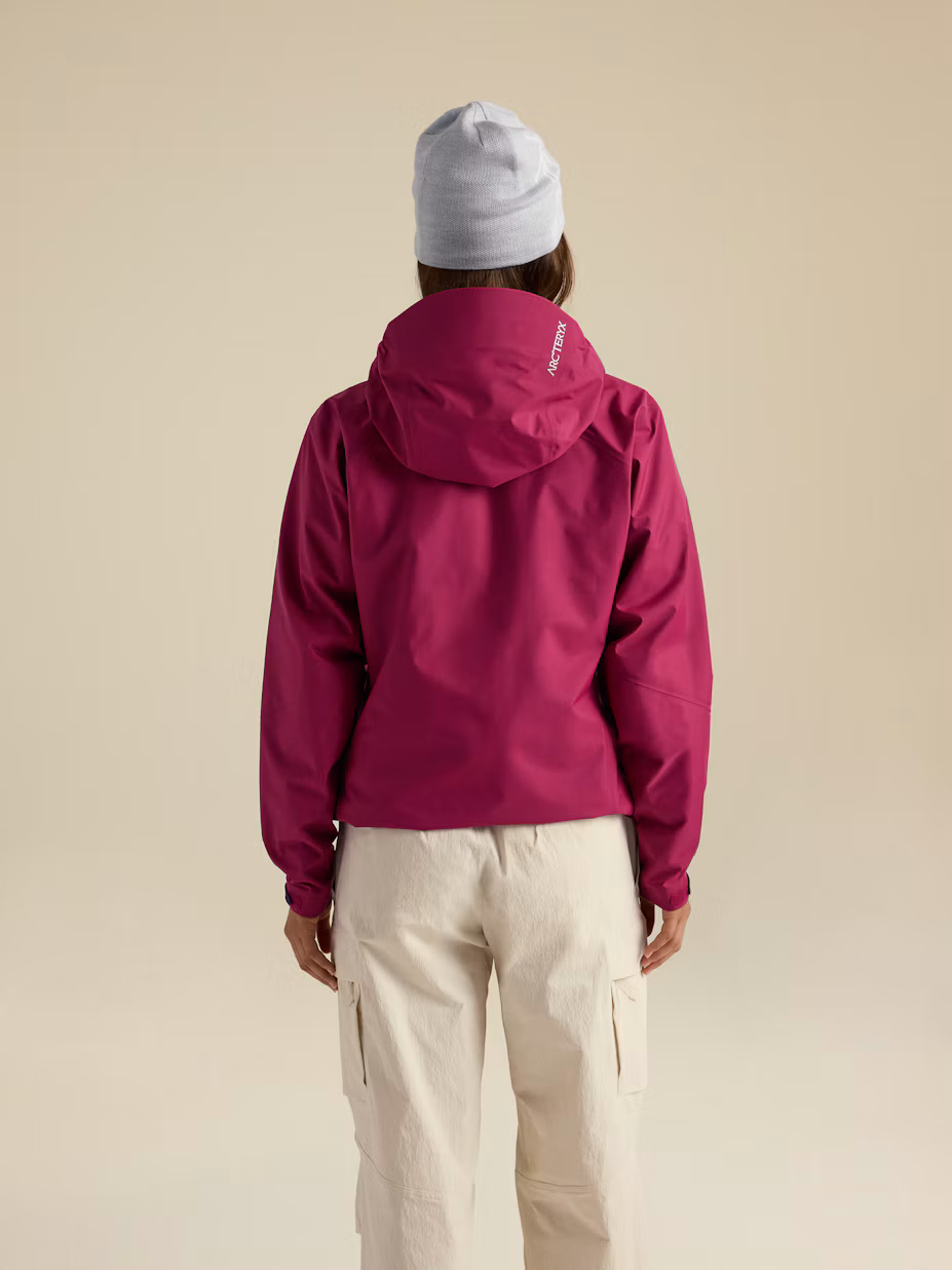 Arcteryx Beta SL Jacket Damen Renegade, Bild 4 von 6