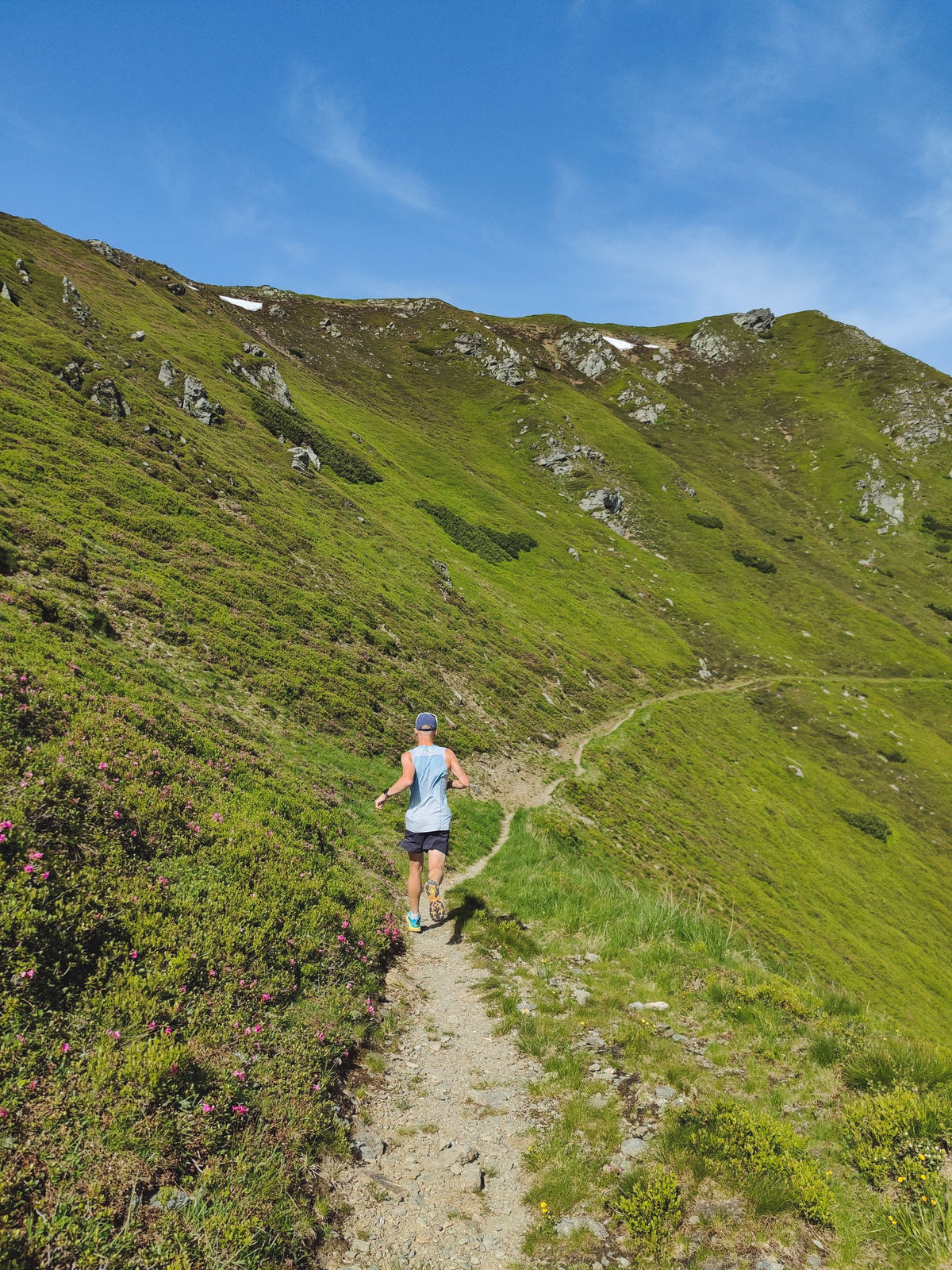 Trailrunner auf einem schmalen Weg durch grüne Bergwiesen