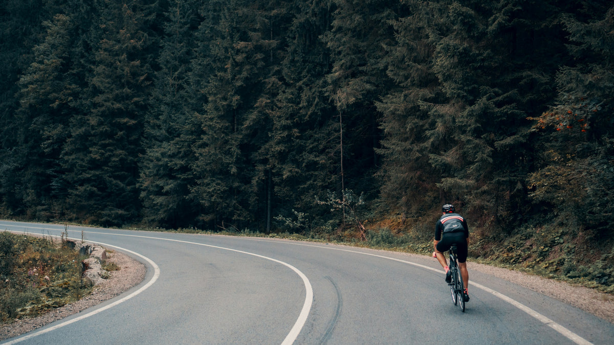Rennradfahrer auf einer kurvigen Straße durch den Wald