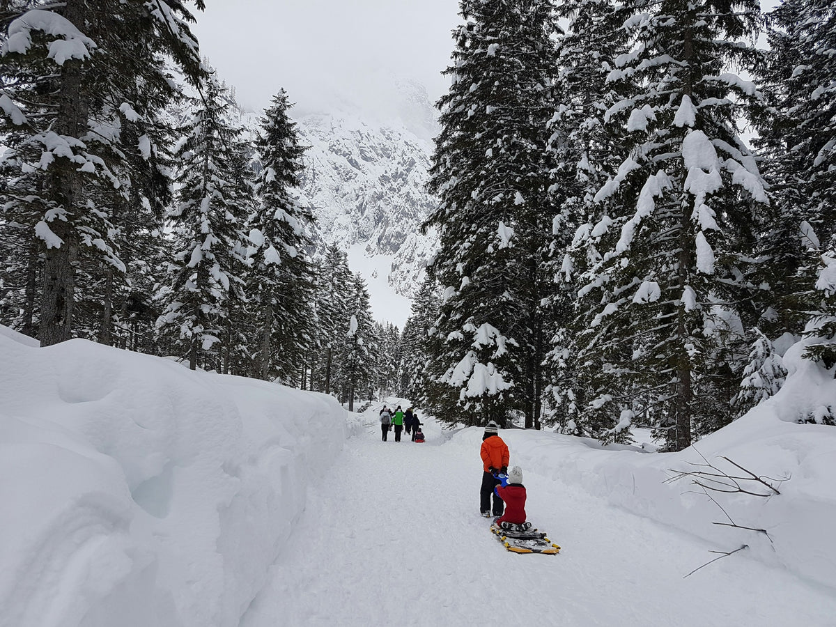 Kinder mit Schlitten auf einem verschneiten Waldweg in Slowenien.